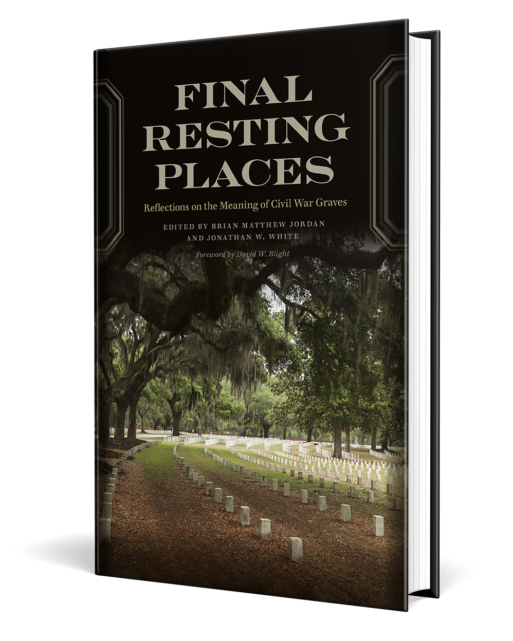 final-resting-places-reflections-on-the-meaning-of-civil-war-graves